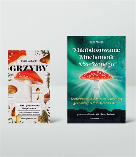 Grzyby Wielki Przewodnik Mikrodozowanie Amanita Muscaria