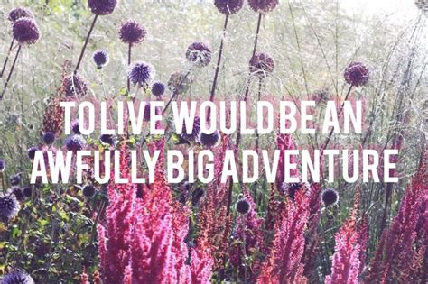 To Live Would Be An Awfully Big Adventure Holiday Decor Novelty