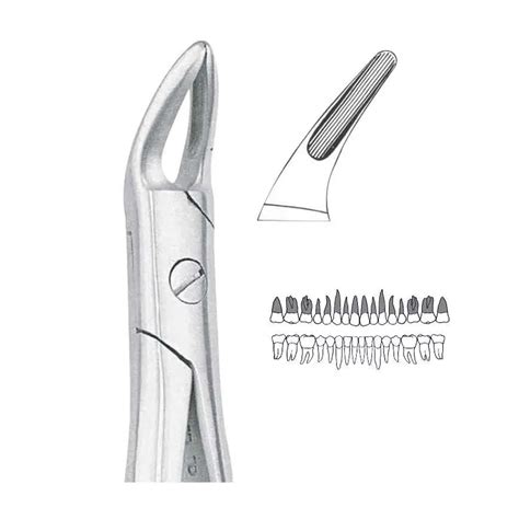 Gdc Extraction Forceps Upper Roots 76n Standard Fx76ns Dentalkart