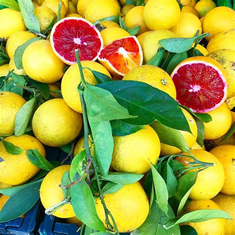 Sicilian Blood Oranges Visit Sicily