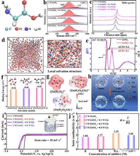 生物亲锌启发的电解液添加剂促进高性能水系锌离子电池的构建 电池联盟网