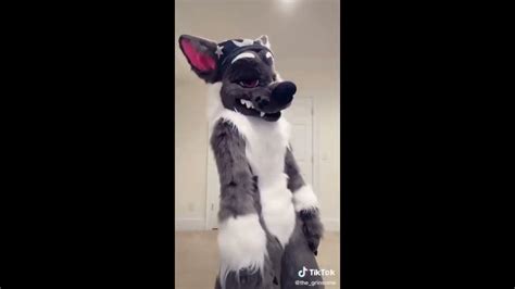 Рапторы из тиктока #фурри #рапторы #furry #dinomask #рекомендации - YouTube