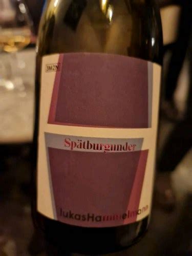 Lukas Hammelmann Sp Tburgunder Vivino Us