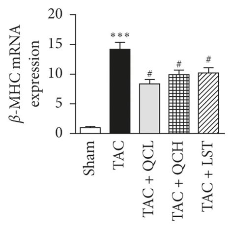 Effects Of QC On Myocardial Hypertrophy And Fibrosis After TAC Surgery