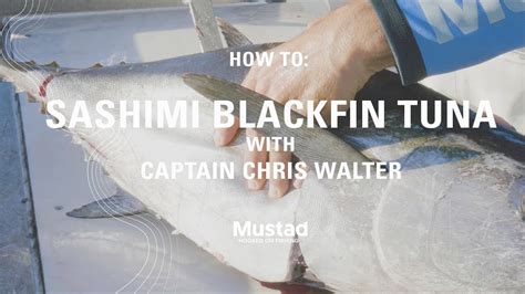 How To Prepare Black Fin Tuna For Sashimi And Steaks Mustad Fishing