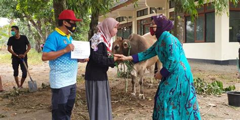 Hari Raya Idul Adha H Kwarda Diy Selenggarakan Penyembelihan