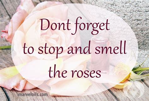 Stop And Smell The Roses Quote - ShortQuotes.cc