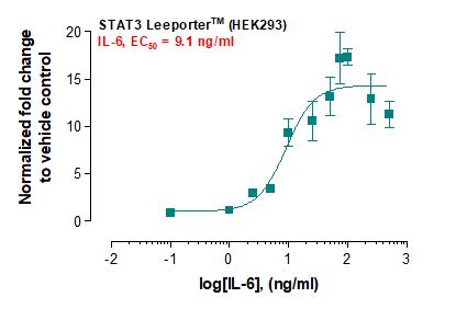 Stat Reporter Cell Line Stat Cell Line