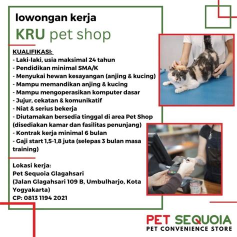 Lowongan Kerja Pet Helper Kru Pet Shop Di Pet Sequoia Glagahsari