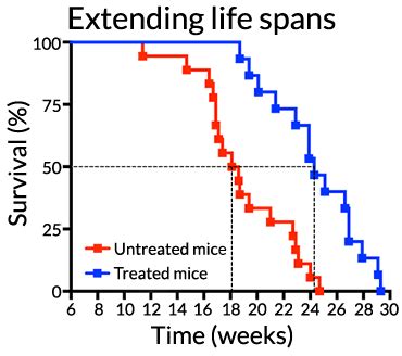 Proteins That Reprogram Cells Can Turn Back Mices Aging Clock