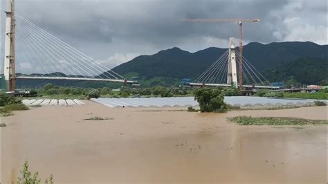 폭우뒤 화포천 하류 Downstream View Of Hwapocheon Stream After Heavy Rain Youtube