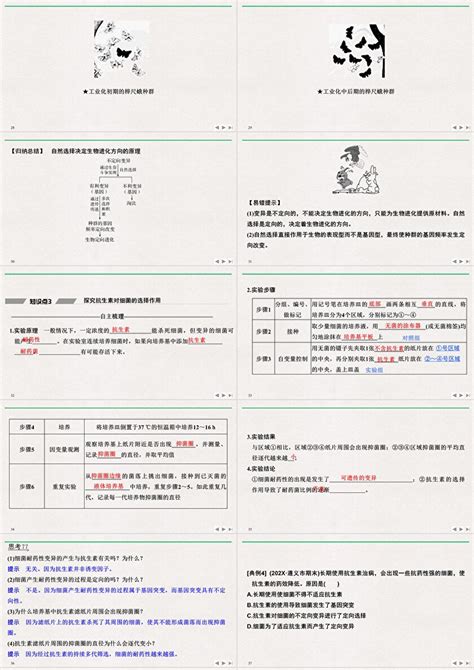 《种群基因组成的变化与物种的形成》生物的进化ppt课件第1课时种群基因组成的变化卡卡办公