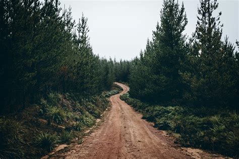 Dirt Road Photos Download The Best Free Dirt Road Stock Photos And Hd Images