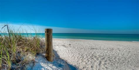 Anna Maria Vacation Rentals | Sea Turtles | AnnaMaria.com