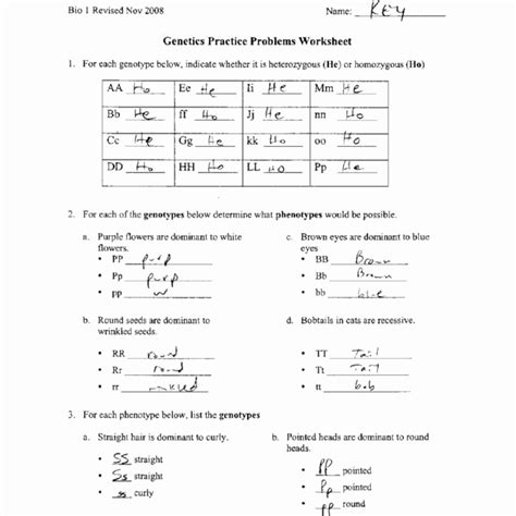 Genetics Practice Problems Worksheets