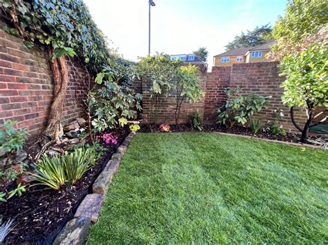 5 Low Maintenance Landscaping Ideas The South West London Gardener