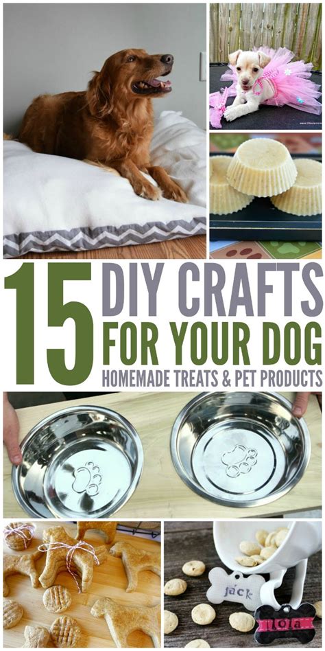 15 Diy Crafts For Your Dog Budget Earth