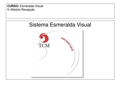 PPT CURSO Esmeralda Visual 1 Módulo Recepção PowerPoint