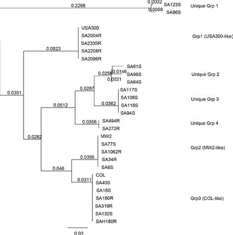 Tamura Nei Neighbour Joining Genetic Distance Tree Comparison Of Ear