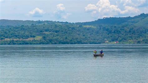 Sauce El Paraíso Natural De La Selva Peruana Con Una Laguna De