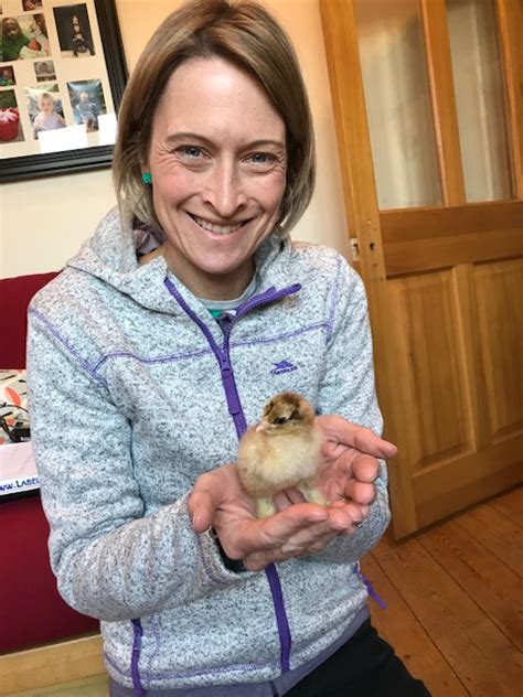 Codicote C Of E Primary School Nursery Chicks Hatched