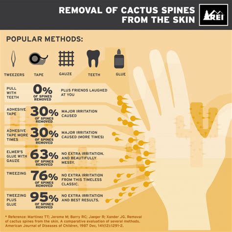 Love The Outdoors 11 Infographics About Camping Rock Content