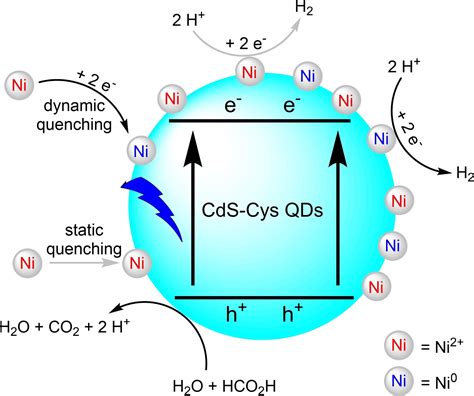 Hydrogen Production From Formic Acid By In Situ Generated Ni CdS