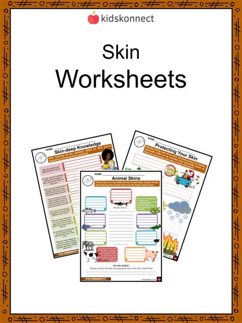 Skin Worksheets Skin Structure Function Health Worksheets Library