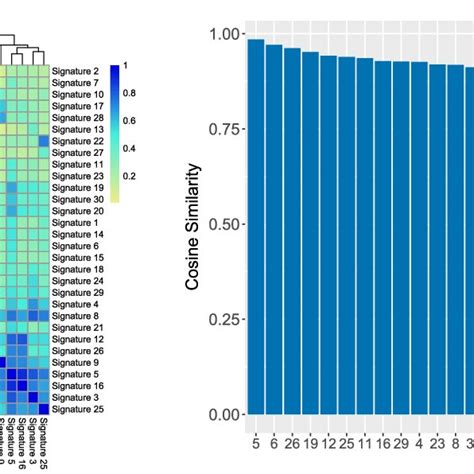 Similarity Between Cosmic Signatures A Pairwise Cosine Similarity Of