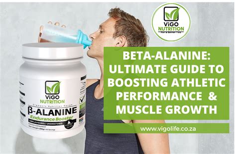 Beta Alanine The Ultimate Guide To Boosting Athletic Performance And