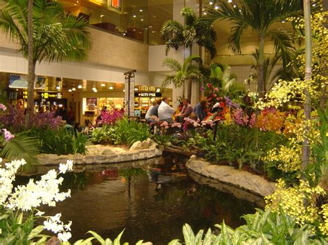 Singapore Airport Wallpapers Wallpaper Cave