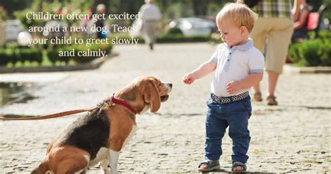 Teaching Dog Safety To Children: A Quick Guide - Terrier Owner