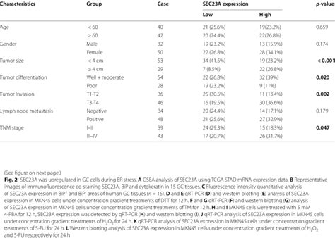 Relationships Between Sec A Expression And The Clinicopathologic