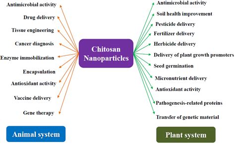 Processes Free Full Text Antibacterial Activity Of Chitosan