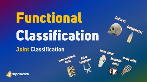 Joint Classification