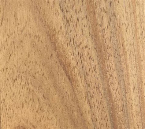 Timber Benchtops Adelaide Stadc Surfaces