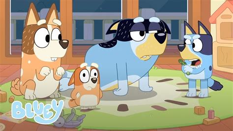 Bluey Temporada Episodios Completos Bluey Canal Oficial En