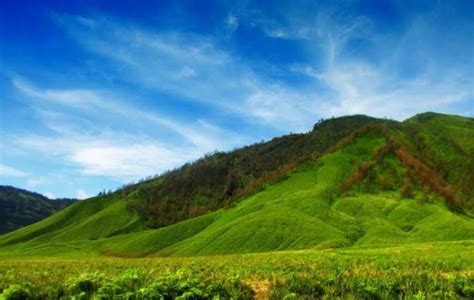 Nikmati Akhir Pekan Di 5 Wisata Alam Malang Raya Yang Aesthetic Abis