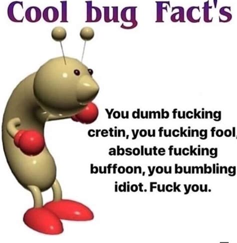 Bug Say Fuck Fuck R Okbuddyretard