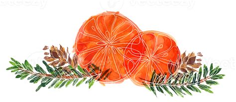 ramo navideño con naranjas y ramas de abeto 13666568 PNG