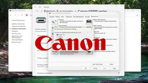 How To Enable Or Disable Canon Printer Low Ink Warning Guide Youtube