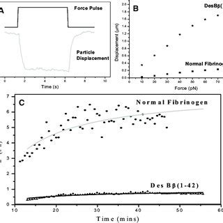 Fibrin Clot Structure Of DesBb1 42 And Normal Fibrin By Atomic Force