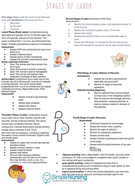 Stages And Phases Of Labor