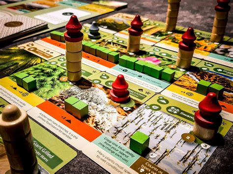 'Wingspan' Players Will Love the 'Earth' Board Game - Bell of Lost Souls