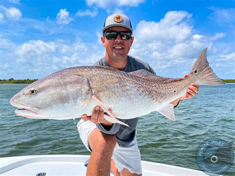 Ponce Inlet Fishing Charters - Ponce Inlet Fishing Charters