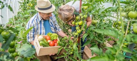 Hangi Sebze Hangi Ayda Ekilir Trendyol Blog