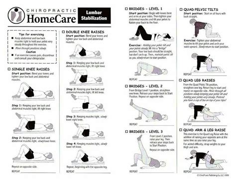 14 Best Lumbar Stabilization Exercises Images On Pinterest Exercise