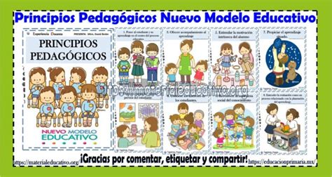 Principios Pedag Gicos Del Nuevo Modelo Educativo Material Educativo