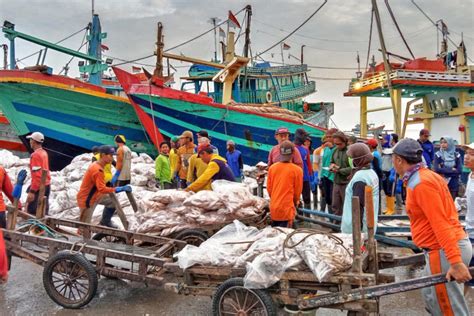 Indonesias Sustainable Fisheries Push Sails Into Storm In Java Sea