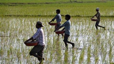 मोदी सरकार की इस योजना से किसानों की आमदनी में हो रहा है इजाफा डबल